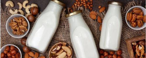 recetas-maquina-leche-vegetal