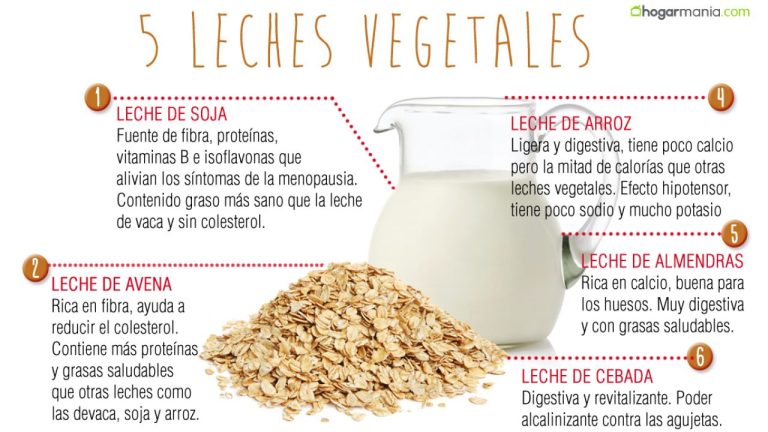 leche vegetal casera 2